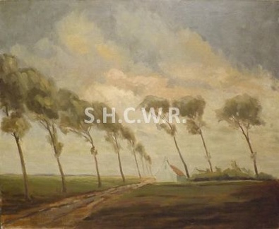 Arbres dans le vent