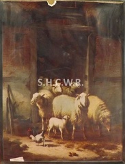 Moutons sortant de l'étable