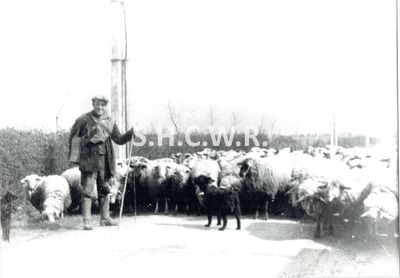 DUV - Boîte 10 - 036