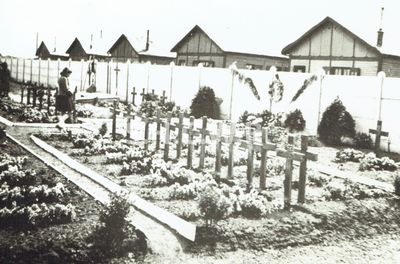 DUV - Boîte 11 - 221