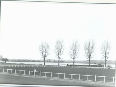 DUV - Boïte 31 - 100